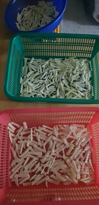 수원농군님의 자유주제 · 자유게시판 작성글 사진