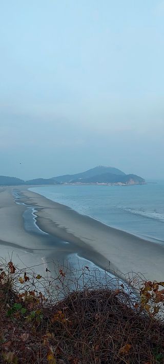 안재성님의 자유주제 · 사진전 작성글 사진