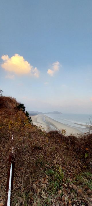 안재성님의 자유주제 · 사진전 작성글 사진