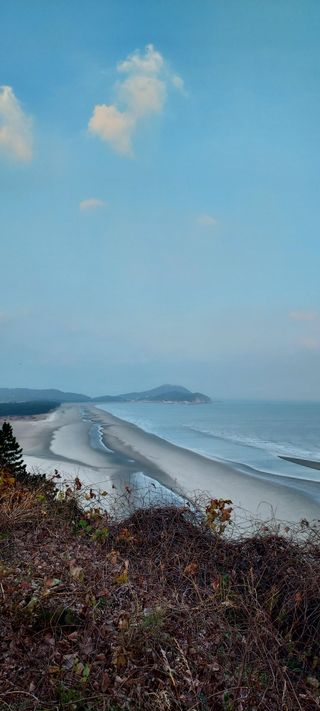 안재성님의 자유주제 · 사진전 작성글 사진