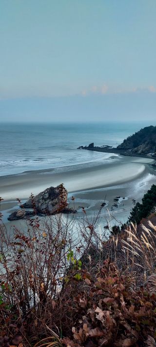 안재성님의 자유주제 · 사진전 작성글 사진