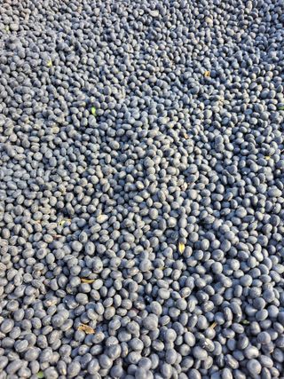 좋은인연원님의 자유주제 · 자유게시판 작성글 사진