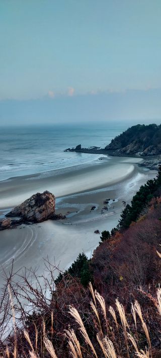 안재성님의 자유주제 · 사진전 작성글 사진
