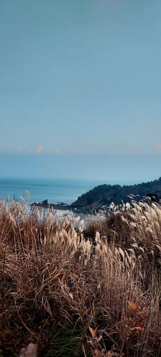 안재성님의 자유주제 · 사진전 작성글 사진