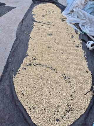 사천시향촌동 돼지띠님의 자유주제 · 자유게시판 작성글 사진