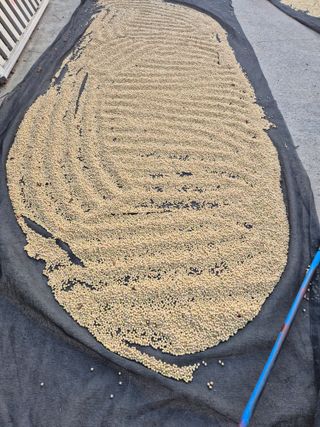 사천시향촌동 돼지띠님의 자유주제 · 자유게시판 작성글 사진