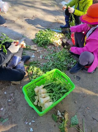권오정님의 우리집 김장 자랑하기 · 참여글 작성글 사진
