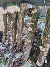 팜모닝 자유주제·자유게시판 게시글 이미지