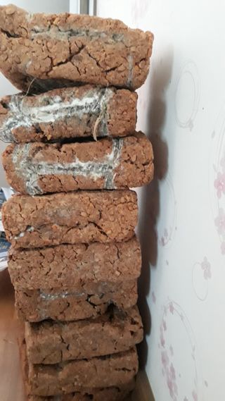 장수농장님의 자유주제 · 자유게시판 작성글 사진