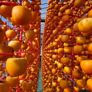 백용기님의 자유주제 · 자유게시판 작성글 사진