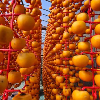 백용기님의 자유주제 · 자유게시판 작성글 사진