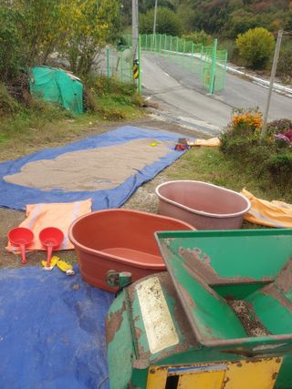 나효식님의 배추 · 영농일지 작성글 사진