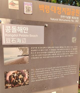 안재성님의 자유주제 · 사진전 작성글 사진