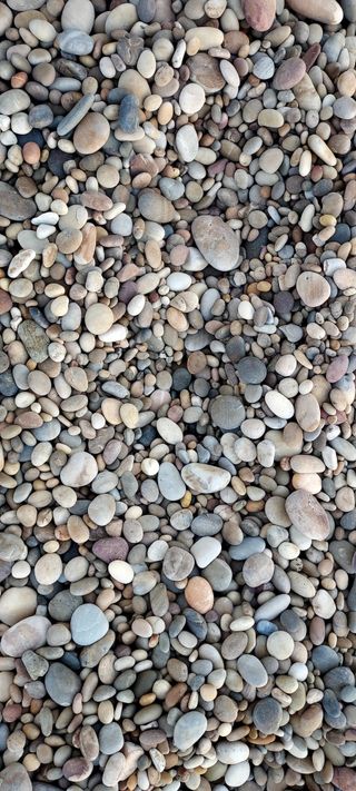 안재성님의 자유주제 · 사진전 작성글 사진