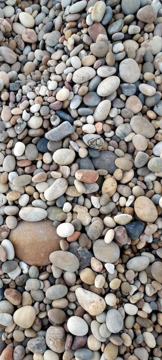 안재성님의 자유주제 · 사진전 작성글 사진