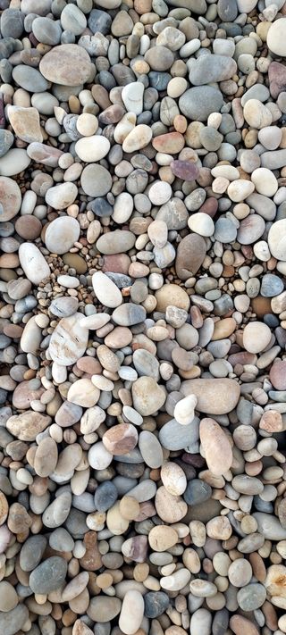 안재성님의 자유주제 · 사진전 작성글 사진