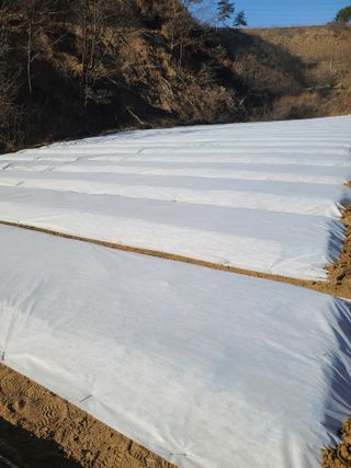 김태현님의 자유주제 · 자유게시판 작성글 사진