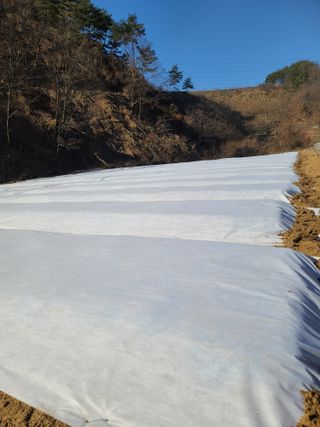 김태현님의 자유주제 · 자유게시판 작성글 사진