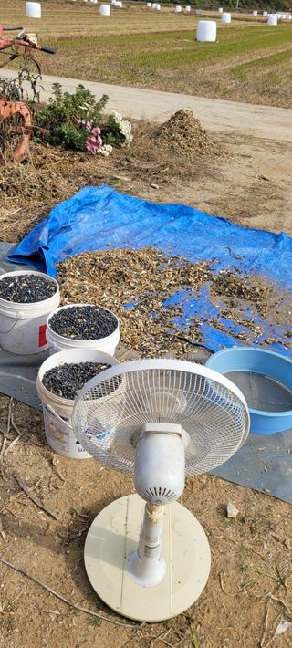 살구15128님의 작성글 사진