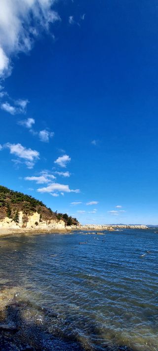 안재성님의 자유주제 · 사진전 작성글 사진