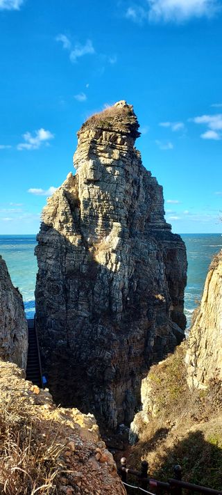 안재성님의 자유주제 · 사진전 작성글 사진