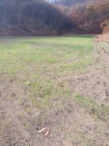 팜모닝 자유주제·자유게시판 게시글 이미지