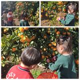 팜모닝 · 게시글 이미지