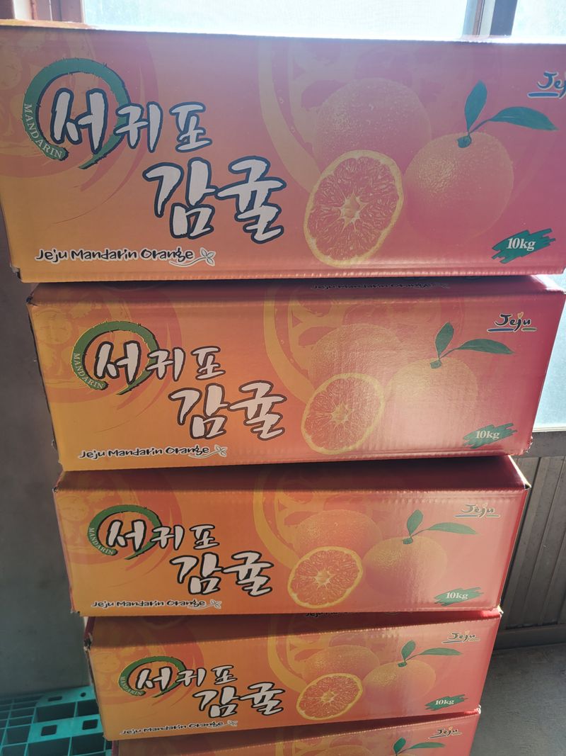 서귀포달코롬감귤농원님의 장터 판매 상품 [저농약 조생귤 대과(한정수량)] 첨부 사진