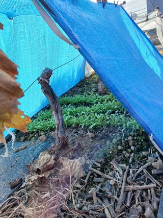 상훈경영체등록5년차님의 작성글 사진