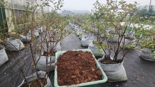 김소정(요리하는종부님의 자유주제 · 자유게시판 작성글 사진