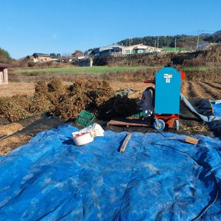 홍순원님의 콩 · 영농일지 작성글 사진