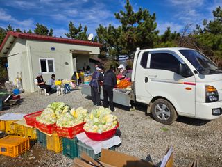 박준호님의 자유주제 · 자유게시판 작성글 사진