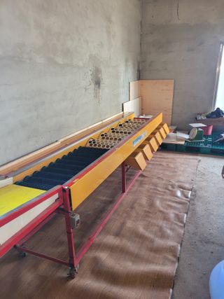 서귀포달코롬감귤농원님의 귤 · 일상 작성글 사진