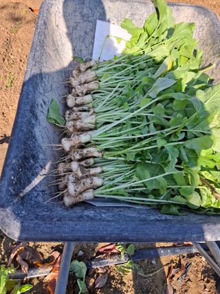 문영식님의 자유주제 · 자유게시판 작성글 사진