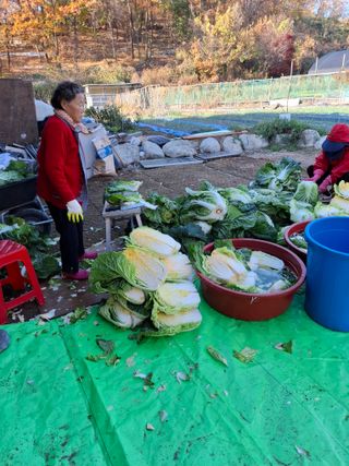문영식님의 자유주제 · 자유게시판 작성글 사진