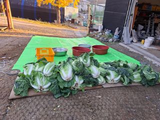 문영식님의 자유주제 · 자유게시판 작성글 사진