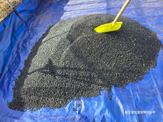 황둔얼렁뚱땅체리농부님의 콩 · 영농일지 작성글 사진