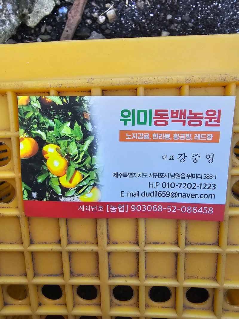 장터 상품 [감귤 판매합니다 5kg/10kg/15kg] 썸네일