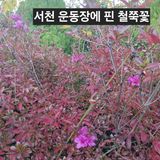 팜모닝 자유주제·사진전 게시글 이미지