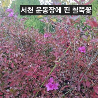 소농인님의 자유주제 · 사진전 작성글 사진
