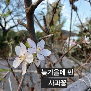 소농인님의 자유주제 · 사진전 작성글 사진