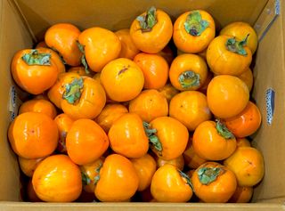 농부손녀님의 작성글 사진