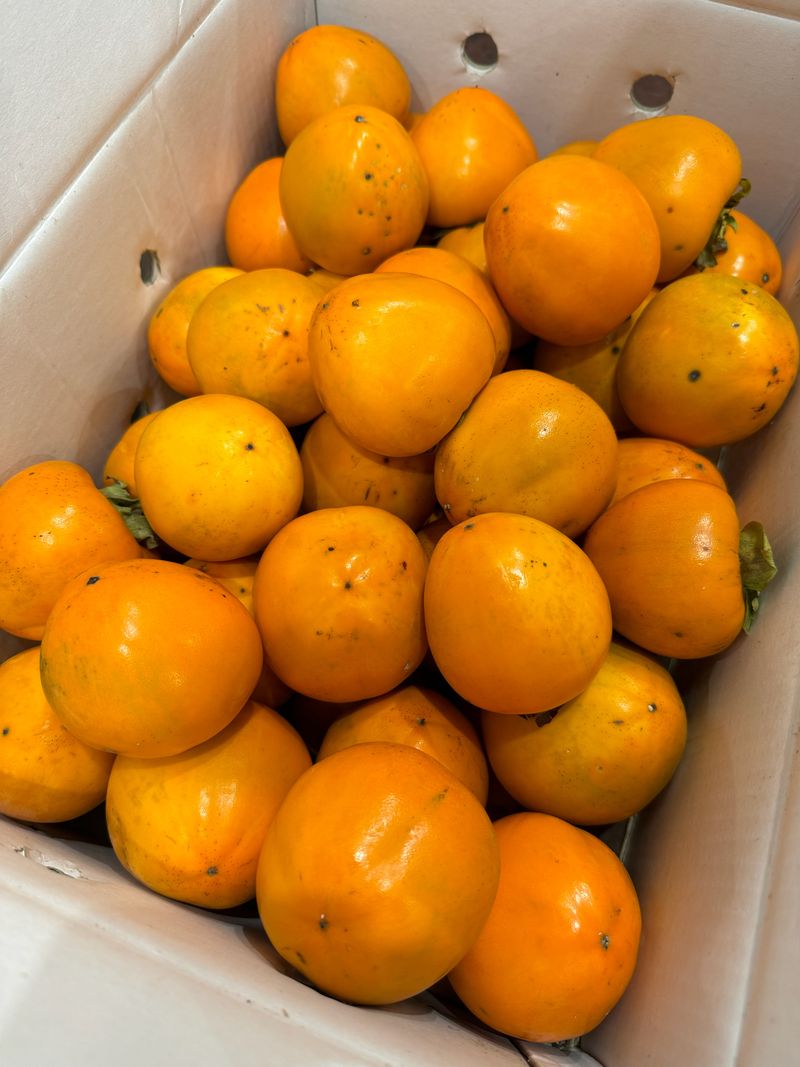 농부손녀님의 장터 판매 상품 [[오픈특가]고당도 월하시 밀수감 10kg(곶갖, 감말랭이용)] 첨부 사진