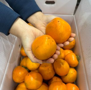 농부손녀님의 작성글 사진