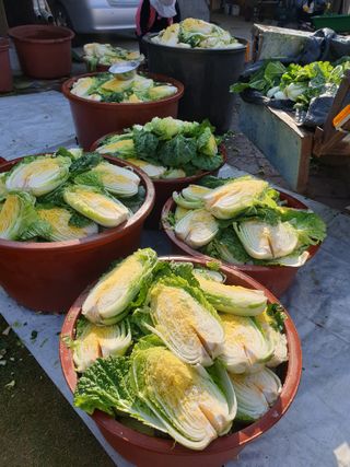 양파5749님의 자유주제 · 자유게시판 작성글 사진