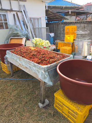 정연희님의 우리집 김장 자랑하기 · 참여글 작성글 사진