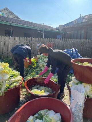정연희님의 우리집 김장 자랑하기 · 참여글 작성글 사진