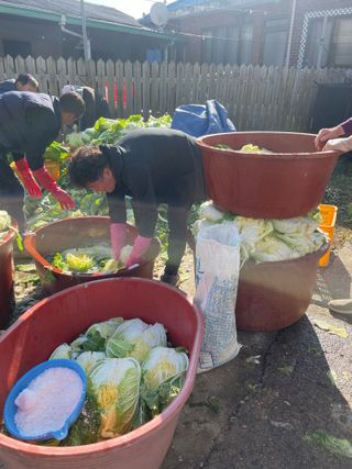 정연희님의 우리집 김장 자랑하기 · 참여글 작성글 사진