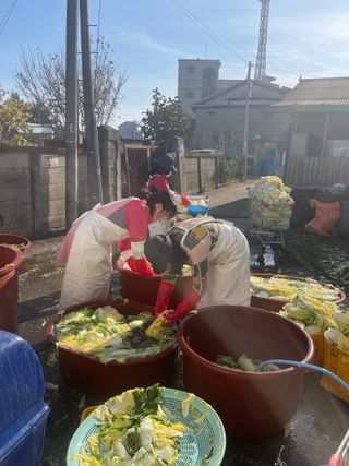 정연희님의 우리집 김장 자랑하기 · 참여글 작성글 사진