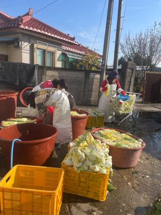 정연희님의 우리집 김장 자랑하기 · 참여글 작성글 사진